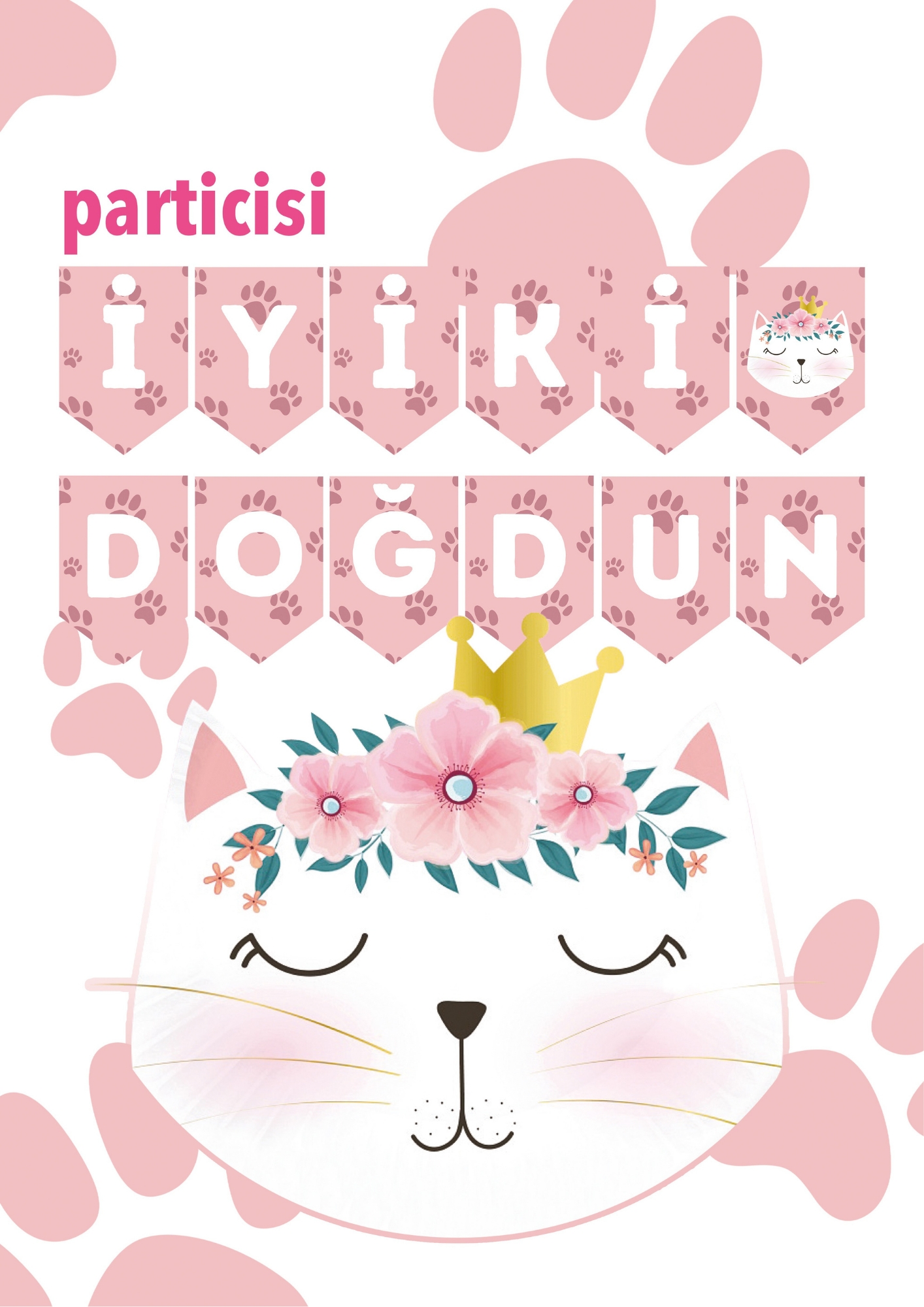 Toptan Kedi Banner