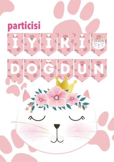 Toptan Kedi Banner